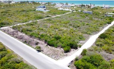 Macro lote en venta en segunda fila de la playa de Dzemul