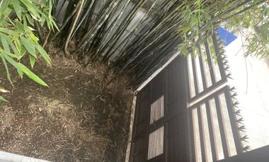 Casa amueblada en renta.