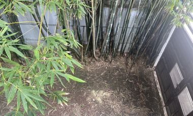 Casa amueblada en renta.