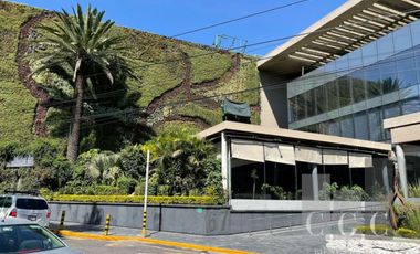 LOCAL COMERCIAL CON LA MEJOR UBICACIÓN EN ALTAVISTA