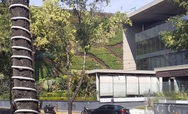 LOCAL COMERCIAL CON LA MEJOR UBICACIÓN EN ALTAVISTA