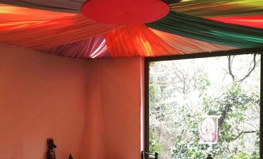 VIVE ENTRE LA SERENIDAD DEL BOSQUE Y EL LUJO NATURAL EN LOMAS ANÁHUAC