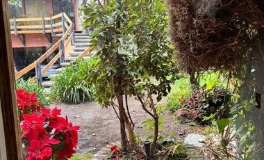 VIVE ENTRE LA SERENIDAD DEL BOSQUE Y EL LUJO NATURAL EN LOMAS ANÁHUAC