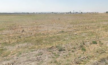 Terreno en  Jaltenco carretera Zumpango- Nextlalpan laguna Zumpango sup. 3 Hectáreas