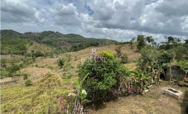 VENDO LOTE EN CAPIRA (20)