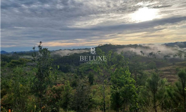 VENDO LOTE EN CAPIRA (20)