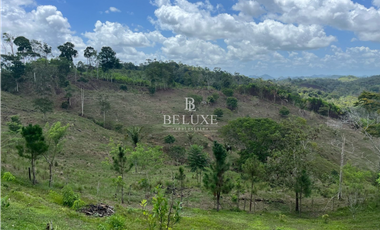 VENDO LOTE EN CAPIRA (20)