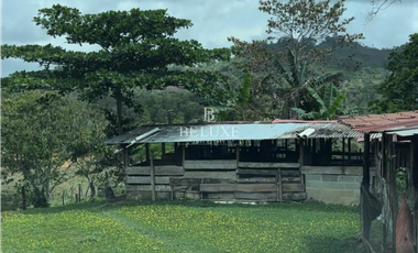 VENDO LOTE EN CAPIRA (20)