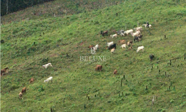 VENDO LOTE EN CAPIRA (20)