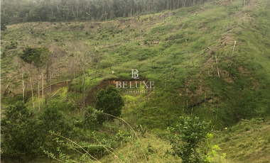 VENDO LOTE EN CAPIRA (20)