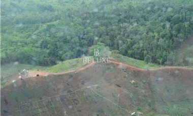 VENDO LOTE EN CAPIRA (20)