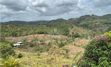 VENDO LOTE EN CAPIRA (20)