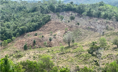 VENDO LOTE EN CAPIRA (20)