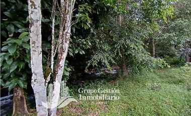 Se vende casa en Bugaba a orilla de La Interamericana