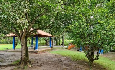 NUEVA GORGONA / 4 HECTAREAS  / 5 HABITACIONES / PISCINA