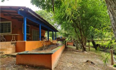 NUEVA GORGONA / 4 HECTAREAS  / 5 HABITACIONES / PISCINA