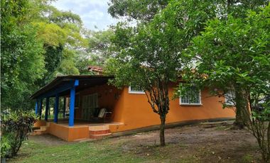 NUEVA GORGONA / 4 HECTAREAS  / 5 HABITACIONES / PISCINA