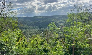 Tanah murah dekat pantai areguling Kuta Mandalika Lombok. Full view.