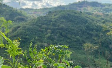 Tanah murah dekat pantai areguling Kuta Mandalika Lombok. Full view.