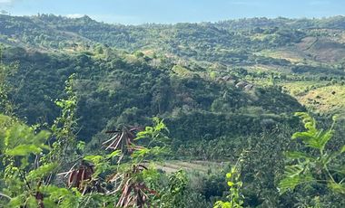 Tanah murah dekat pantai areguling Kuta Mandalika Lombok. Full view.