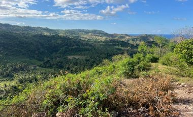 Tanah murah dekat pantai areguling Kuta Mandalika Lombok. Full view.