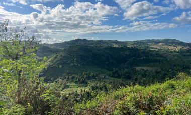 Tanah murah dekat pantai areguling Kuta Mandalika Lombok. Full view.