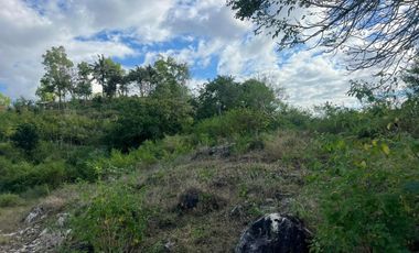 Tanah murah dekat pantai areguling Kuta Mandalika Lombok. Full view.