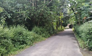 Jangan Lewatkan! Tanah Jogja Harga Di Bawah Pasaran Dekat Pemda Sleman