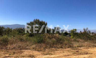 TENTA DE DOS TERRENOS JUNTOS EN TLALIXTAC - (3)