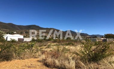 TENTA DE DOS TERRENOS JUNTOS EN TLALIXTAC - (3)