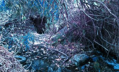 VENTA TERRENO CON AGUA VALLE DEL ELQUI HUANTA