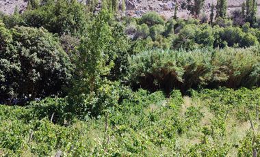 VENTA TERRENO CON AGUA VALLE DEL ELQUI HUANTA