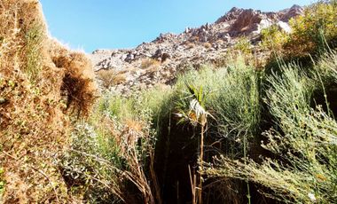 VENTA TERRENO CON AGUA VALLE DEL ELQUI HUANTA