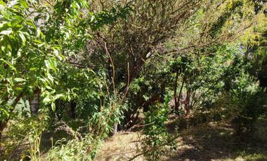 VENTA TERRENO CON AGUA VALLE DEL ELQUI HUANTA