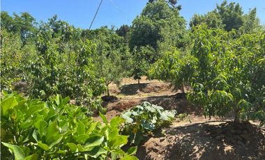 Parcela/ Casa equipada, en Olmué Región de Valparaíso