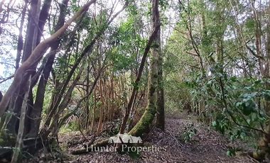 Sitio en Venta en Aeropuerto El Tepual