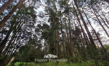 Terreno Construccion en Venta en Aeropuerto El Tepual