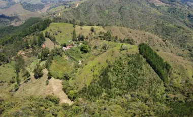 Venta de finca en gomez plata lote 30 hectáreas