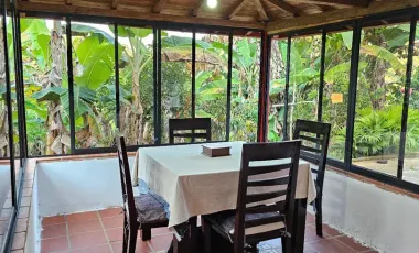 Venta de finca en gomez plata lote 30 hectáreas