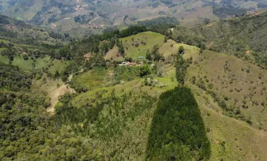 Venta de finca en gomez plata lote 30 hectáreas