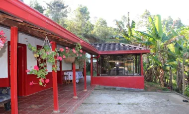 Venta de finca en gomez plata lote 30 hectáreas