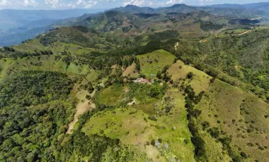 Venta de finca en gomez plata lote 30 hectáreas