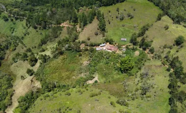 Venta de finca en gomez plata lote 30 hectáreas