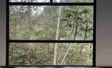 Casa independiente en venta llanogrande