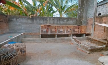 Rumah halaman luas di Tamantirto Kasihan