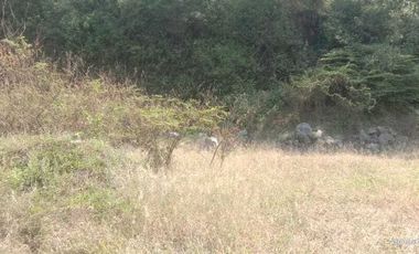 DIJUAL TANAH INDUSTRI BATANG, JAWA TENGAH