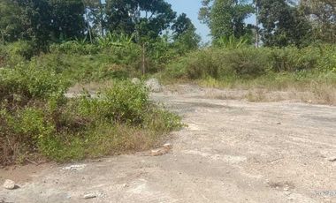 DIJUAL TANAH INDUSTRI BATANG, JAWA TENGAH