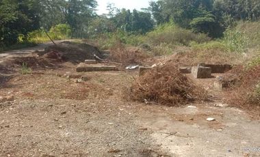 DIJUAL TANAH INDUSTRI BATANG, JAWA TENGAH