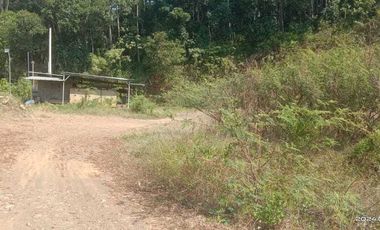 DIJUAL TANAH INDUSTRI BATANG, JAWA TENGAH