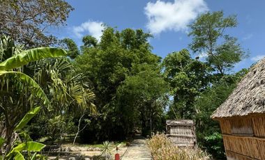 Finca Henequenera del Siglo XIX – Remodelada